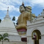 Wild Wonders & Hidden Temples from Hikkaduwa (2 Days) - What Makes This Tour Stand Out?