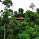 Wildlife Tour A Journey Through 3 Sanctuaries - Exploring the Itinerary in Detail