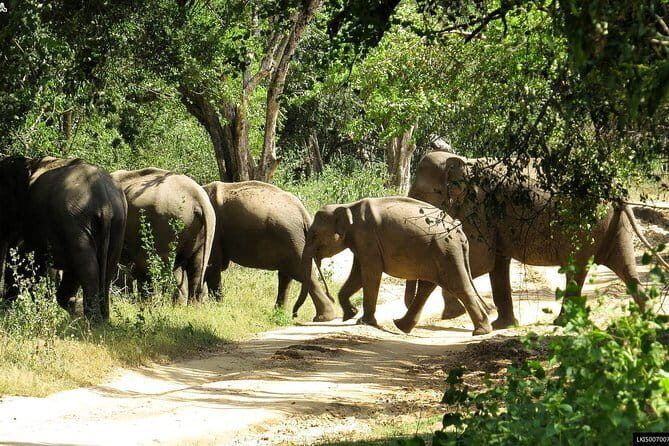 Wildlife Tour Covering Birds and Mammals (14 Days) - Who Should Consider This Tour?