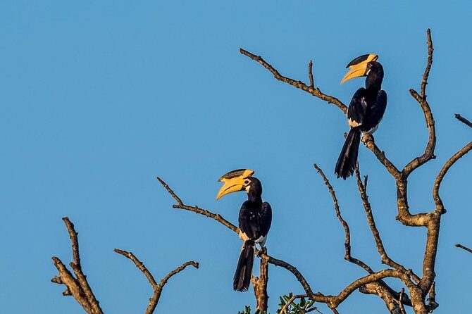 Wilpattu National Park Tour From Bentota With jeep SAFARI - The Itinerary in Detail