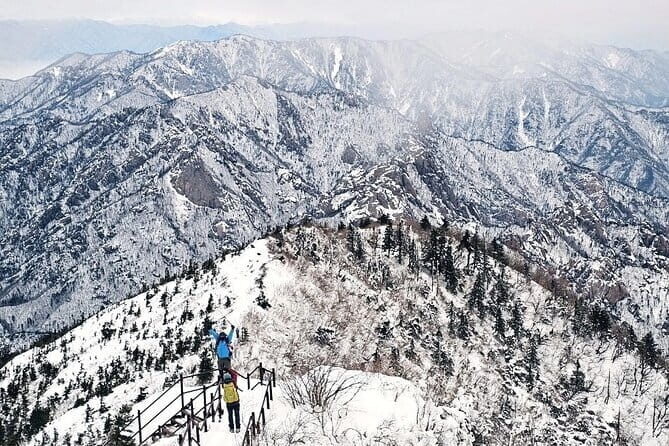 Winter One Day Tour to Snowy Mt. Seorak and Maebawi Ice Wall - What Makes This Tour Stand Out