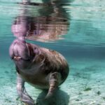 Wondrous Wildlife @ River Wonders + Roundtrip Transfers - The Itinerary in Detail