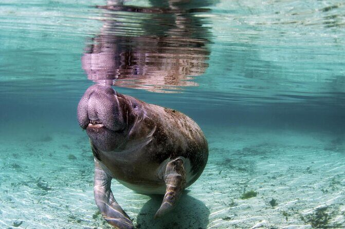 Wondrous Wildlife @ River Wonders + Roundtrip Transfers - The Itinerary in Detail
