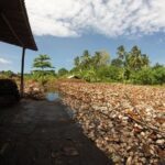 Work With Local Coir Mill - Final Thoughts