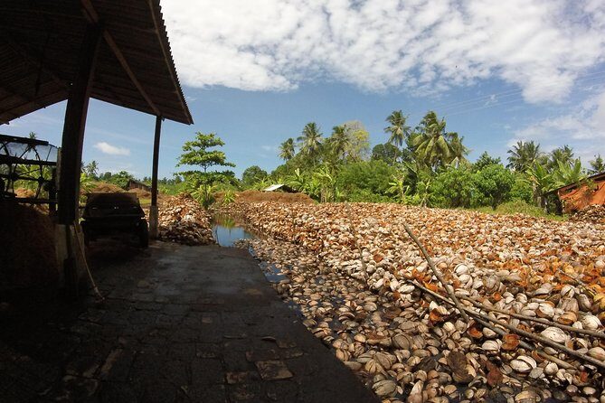 Work With Local Coir Mill - Final Thoughts