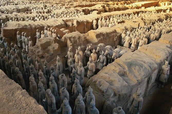 Xian Group Tour to Terracotta Warriors and Banpo Museum - Who Is This Tour Best For?