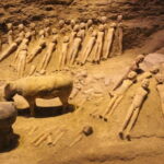 Xi'an Private Day Tour: Discover the Heritages of Qin and Han Dynasties - The Practical Side: What You Need to Know