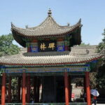 Xian Private Day Tour of Museums Visiting - What Makes This Tour Stand Out?