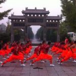Xi'an Private Day Trip to Shaolin Temple and Songyang Academy by Bullet Train - The Cultural Significance of Shaolin