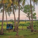 Yala Village Life Exploration tour by tuk-tuk from Hambantota Habour - What the Experience Feels Like
