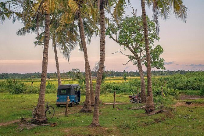 Yala Village Life Exploration tour by tuk-tuk from Hambantota Habour - What the Experience Feels Like