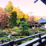 Yamanashi's Hidden Gems Erinji Temple and Katsunuma Winery - From Scenic Views to Practical Details