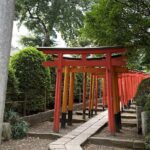 Yanaka & Nezu: Explore Retro Japan through Food and Culture - Unique Shops and Hands-On Activities
