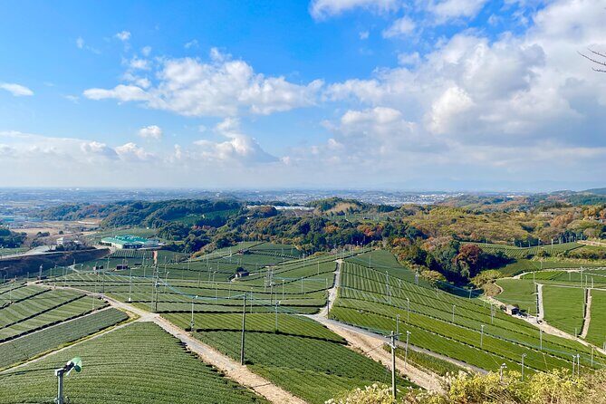 YokaBus Heritage in a Cup of a Yame Tea & Sake Tasting Expedition - An In-Depth Look at the Tour Experience
