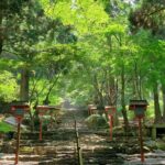 YokaBus Hikosan Jingu and Showa Era Market Tour - Transportation and Logistics