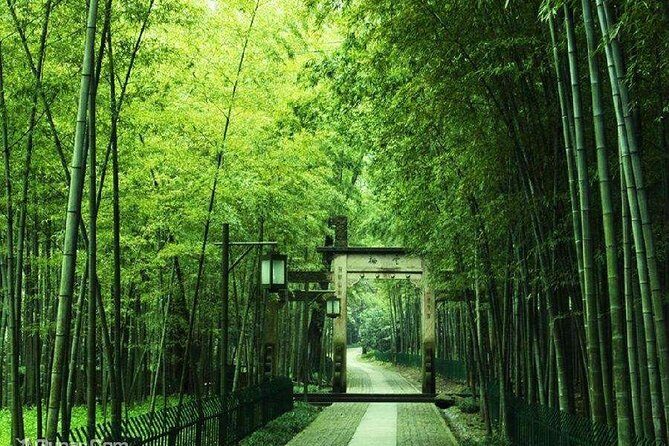 Yunxi Bamboo Forest and West Lake Private Day Tour with Tea Plantation Experience - Practical Details and Value