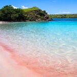 Zamboanga Sta Cruz Island (pink Sand) Excursion - What Makes the Pink Sand Beach Special?