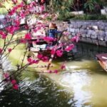 Zhouzhuang Water Village Day Tour - Final Thoughts