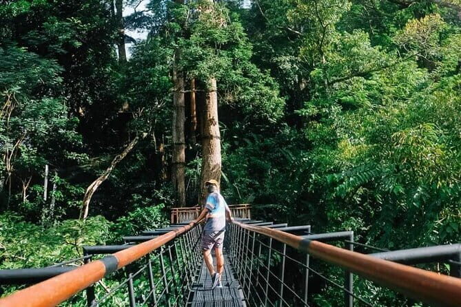 Zipline 18 Platforms at Hanuman World - Practical Details and Tips