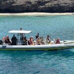 1.5-Hour Dolphin and Whale Watching Tour - FAQ