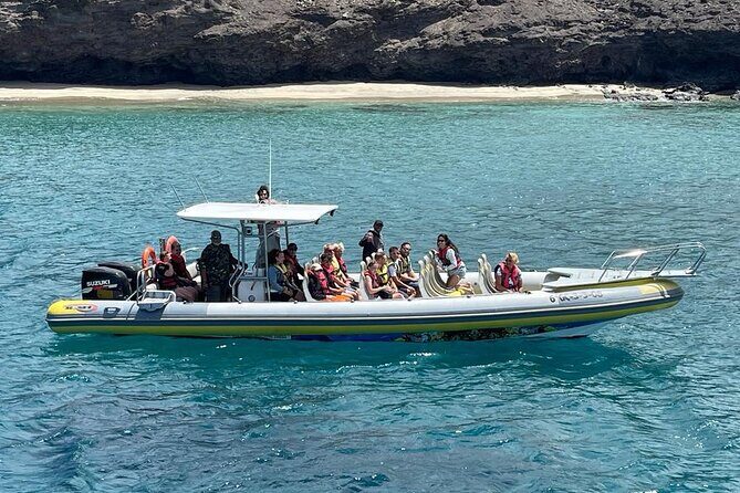 1.5-Hour Dolphin and Whale Watching Tour - FAQ