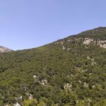 1 Day Parnitha Athens Private Hiking Tour with Hotel Pickup - The Value of a Private Guided Tour