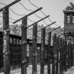 1-Day Private Tour Stutthof Concentration Camp and Malbork Castle - Insights from past travelers