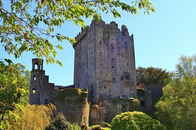 10-Day Ultimate Small-Group Tour of Ireland from Dublin - Who Is This Tour Best For?