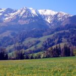 10-Hour Private Tour in Bern from Zurich - The Value of the Experience
