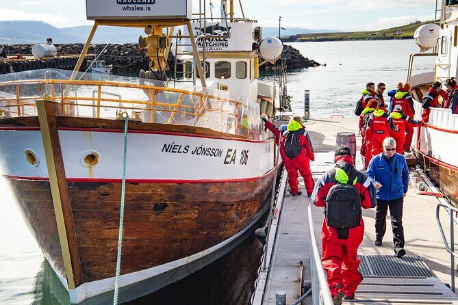100% Whale Watching - The Itinerary in Detail