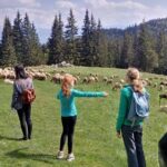 2-Day Transylvania Culture Trek from Brasov - Small Group Tour - Practical Aspects & Value