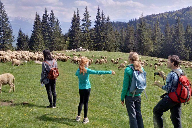 2-Day Transylvania Culture Trek from Brasov - Small Group Tour - Practical Aspects & Value