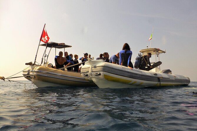 2-Hour Diving & Diving in Marina del Plemmirio Area in Syracuse - A Closer Look at the Experience
