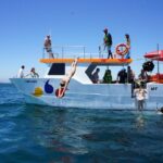 2-hour Kayak Tour of Ponta da Piedade Caves and Beaches - Frequently Asked Questions