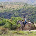 2-Hours Guided Drino's Valley Ride - Who Is This Tour Best For?