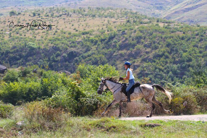 2-Hours Guided Drino's Valley Ride - Who Is This Tour Best For?