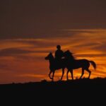 2 Hours Horse Riding Safari in Cappadocia ( Transfer Include ) - Practical Considerations