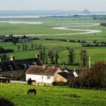 2 Hours Private Walking Tour of Mont Saint Michel - The Detailed Experience: What to Expect on This Tour