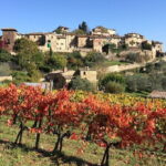 2 wineries Chianti Wine Tasting & Vineyards Walk Private Tour - Who Should Consider This Tour?