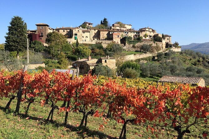 2 wineries Chianti Wine Tasting & Vineyards Walk Private Tour - Who Should Consider This Tour?