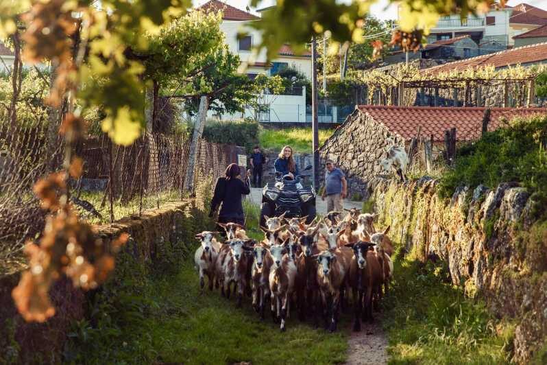 2h Quad Tour  Arcos de Valdevez  Peneda Gerês - Pricing and Value