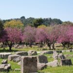 3 Day Ancient Greece Tour - Final Thoughts