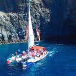 3-hour Whale and Dolphin Watching and Listening Tour - Introduction