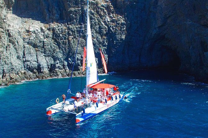 3-hour Whale and Dolphin Watching and Listening Tour - Introduction