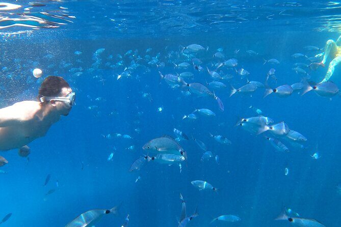 3 Hours Aquarium and Margaritas Islands Excursion - The Review from Travelers: Authentic Insights