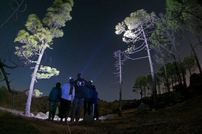 3-Hours Astronomy Hiking Experience in Roque Nublo Mountains - Final Words