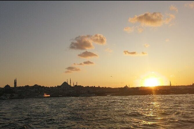 3 Hours Bosphorus Boat Cruise with Stop in Asia Side - Food and Comfort on the Tour