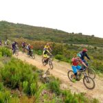 3 Hours e-bike Tour with Wine Tour at Tenuta la Chiusa - Crossing to Magazzini and Arrival at Tenuta la Chiusa