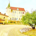 3 hours of Tour in the Wines of Châteauneuf-du-Pape - Practical Tips for Participants