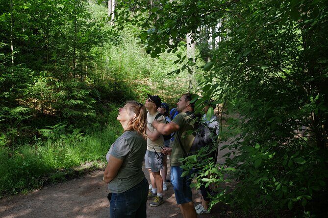 3 in 1 Tour Brewery & Castle in Bohemian Paradise Unesco Geopark - A Deep Dive into the Experience